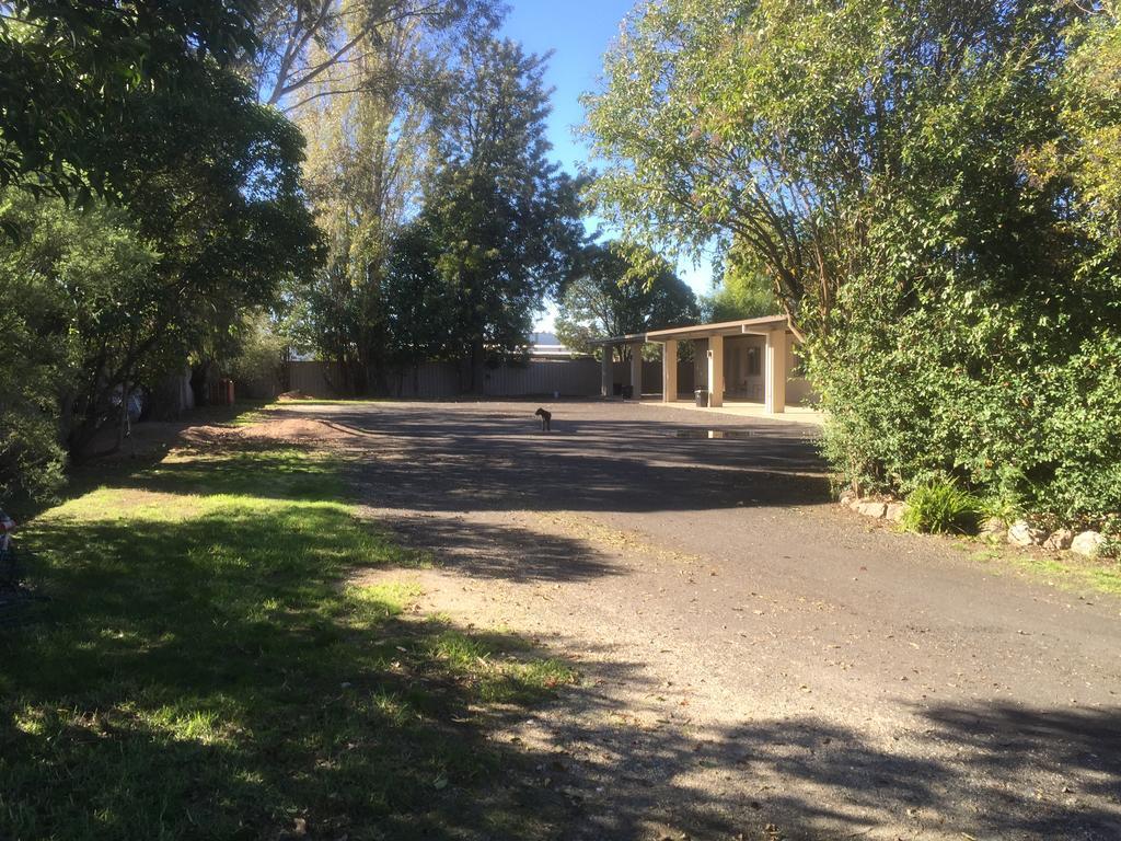 Murray Valley Motel Wodonga Zewnętrze zdjęcie