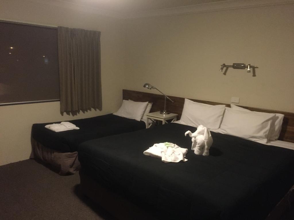 Murray Valley Motel Wodonga Zewnętrze zdjęcie